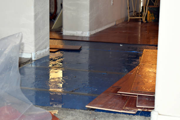 Professional Burst Pipe Cleanup technician working in Modoc, IN